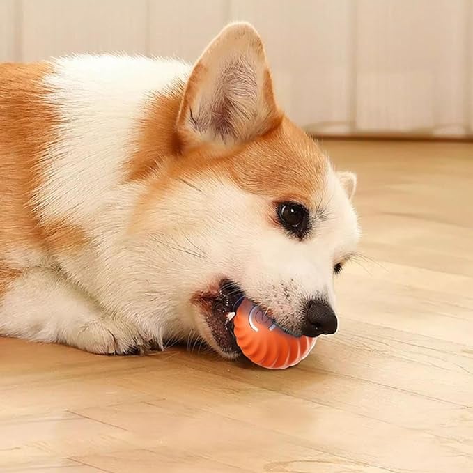 Interaktiver Hundespielball mit Sensoren | Zufallsbewegungen &amp; Blinklicht | Beschäftigung gegen Langeweile | 60 Min Spielzeit
