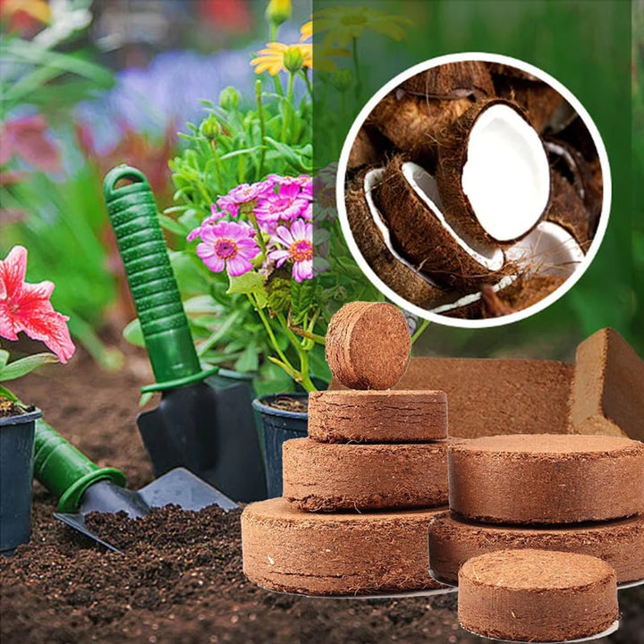 Kokosfaser-Brikett als Blumenerde-Ersatz | Quillt mit Wasser auf | 100 % Kokos | Für Aussaat, Kräuter &amp; Pflanzen