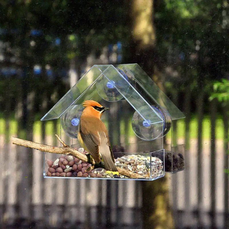 Window bird feeder with 3 suction cups – transparent acrylic for clear view | Open design for more birds | Easy to fill &amp; clean