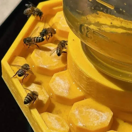 Abbeveratoio per api UV giallo con design anti-affogamento | Adatto a barattoli Mason | Resistente alle intemperie, PETG riciclato