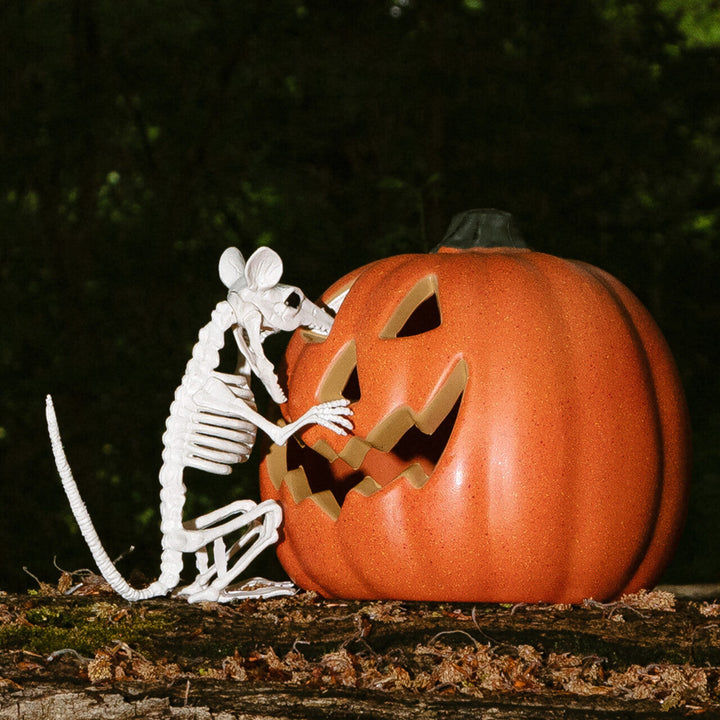 Halloween LED Kürbis | Beleuchteter Deko-Kürbis mit grün leuchtendem Gesicht für Tisch-, Fenster- und Partydekoration