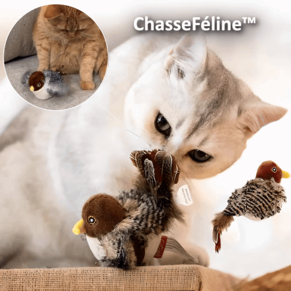 Feline Hunt™ | Wecke den wilden Instinkt deiner Katze!