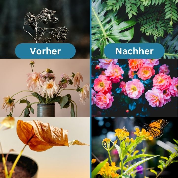 PantMeststof™ Organischer Langzeitdünger für Pflanzen