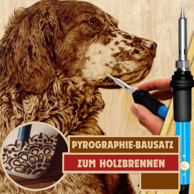 Pyrographie-Brennset 60W | Brandmalerei-Set mit 28 Brennspitzen und einstellbarer Temperatur für Holz und Leder