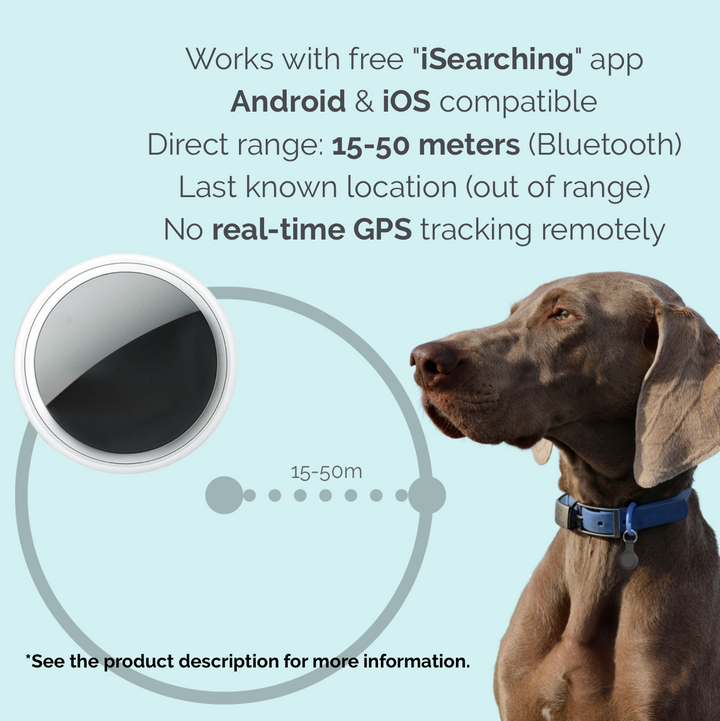 Bluetooth Haustier Tracker | Kabelloser Tierfinder mit App, Trennungsalarm, Tonsignal und Standortanzeige für Hunde und Katzen