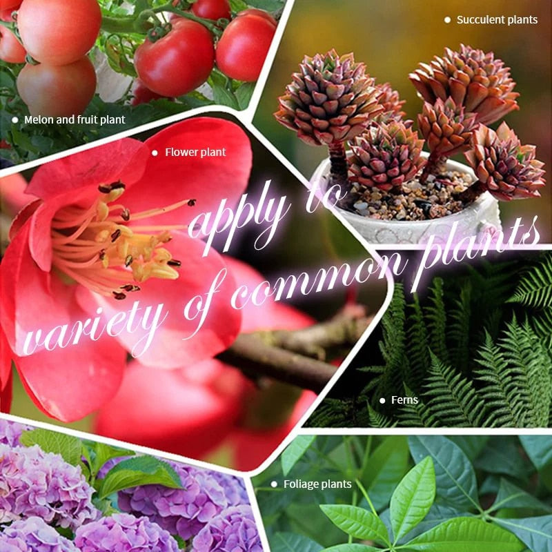GrowthBooster™ Promote Healthy Growth