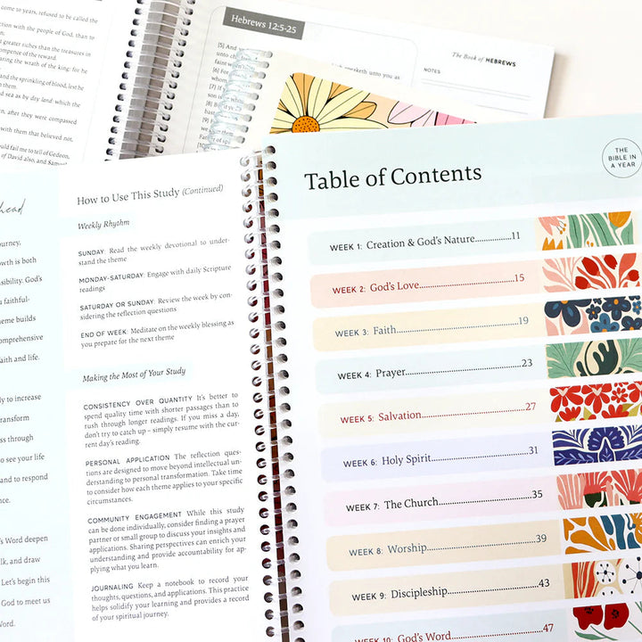 DivineRhythm - 52 Weeks of Focused Bible Study