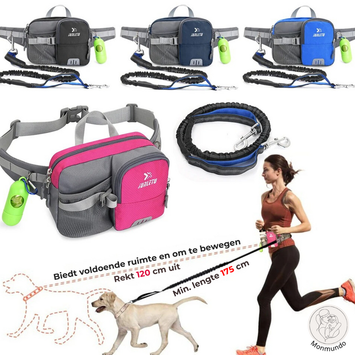 Hunde Leinen-Set | Freihändig mit Hüfttasche | Reflektierend &amp; Stoßdämpfend | Für Spaziergänge &amp; Joggen