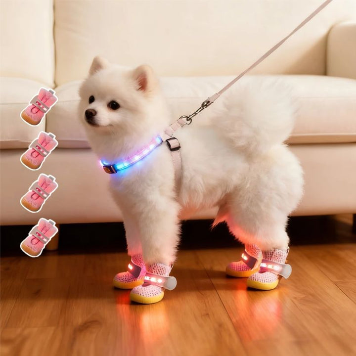 LED Hundeschuhe 4er-Set mit Antirutschsohle | Leuchtende Pfotenschuhe für Hunde | Atmungsaktives Mesh &amp; Klettverschluss | XS–XL