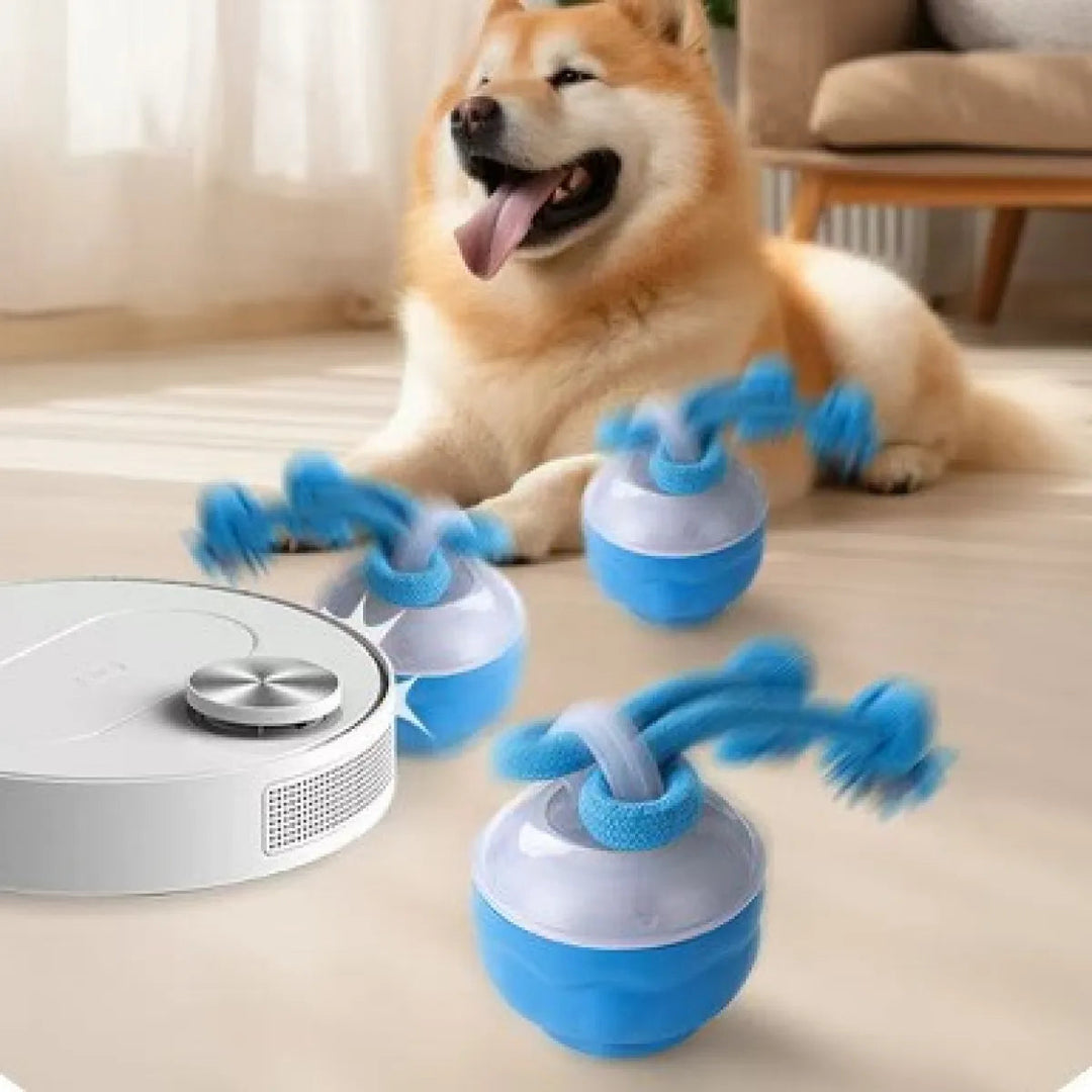 Balle interactive pour chien résistante aux morsures | Roule et saute de façon imprévisible pour plus de stimulation ludique | Intérieur/extérieur | Pour toutes races