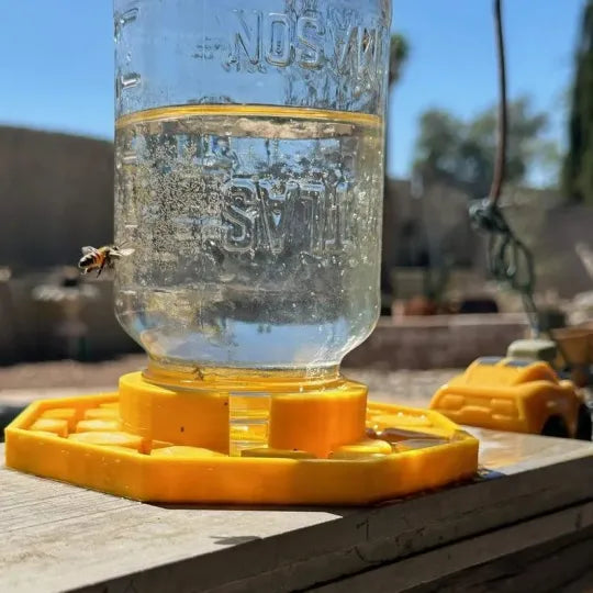 Abbeveratoio per api UV giallo con design anti-affogamento | Adatto a barattoli Mason | Resistente alle intemperie, PETG riciclato