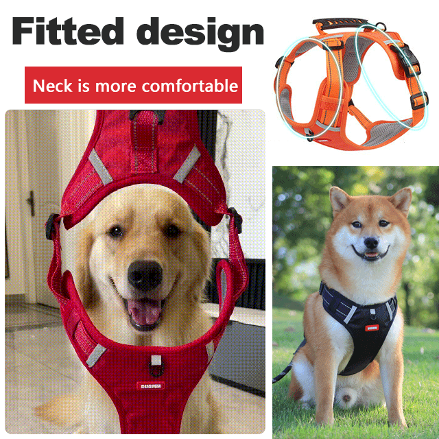 PawSecure™ Reduces Pulling Pressure