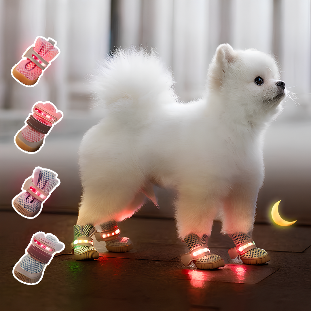 LED Hundeschuhe 4er-Set mit Antirutschsohle | Leuchtende Pfotenschuhe für Hunde | Atmungsaktives Mesh &amp; Klettverschluss | XS–XL