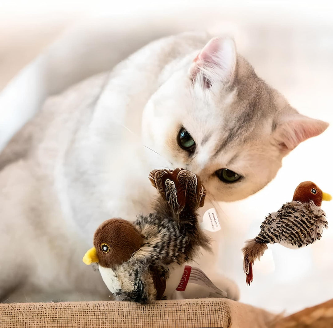 Feline Hunt™ | Wecke den wilden Instinkt deiner Katze!