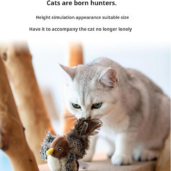 Feline Hunt™ | Wecke den wilden Instinkt deiner Katze!