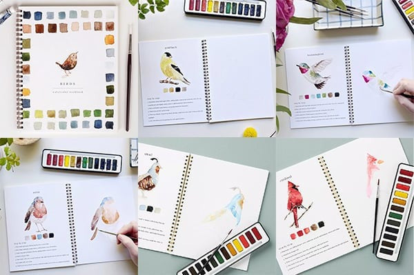 Cahier de travail aquarelle pour débutants | 12 motifs avec guide étape par étape | Papier 120 lb, 6,5"×9", mélange et peinture