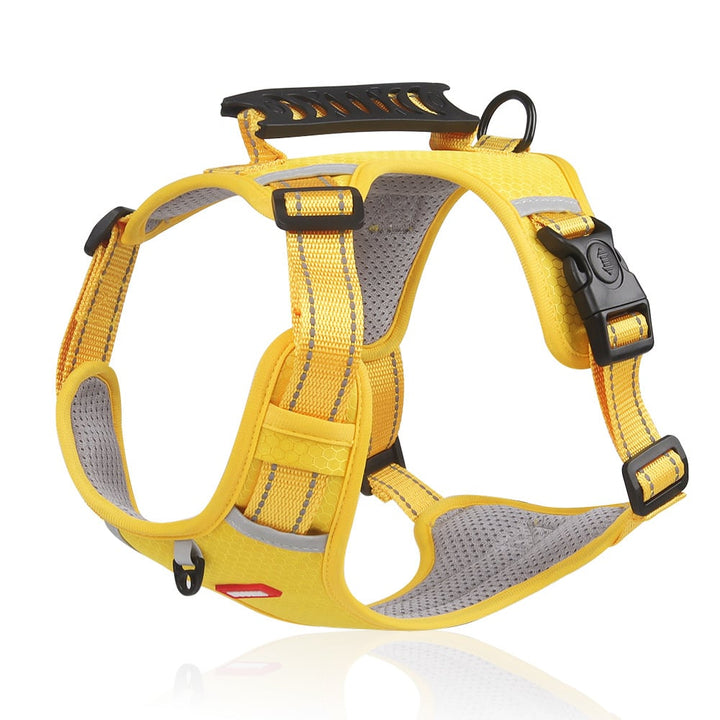 PawSecure™ Reduces Pulling Pressure
