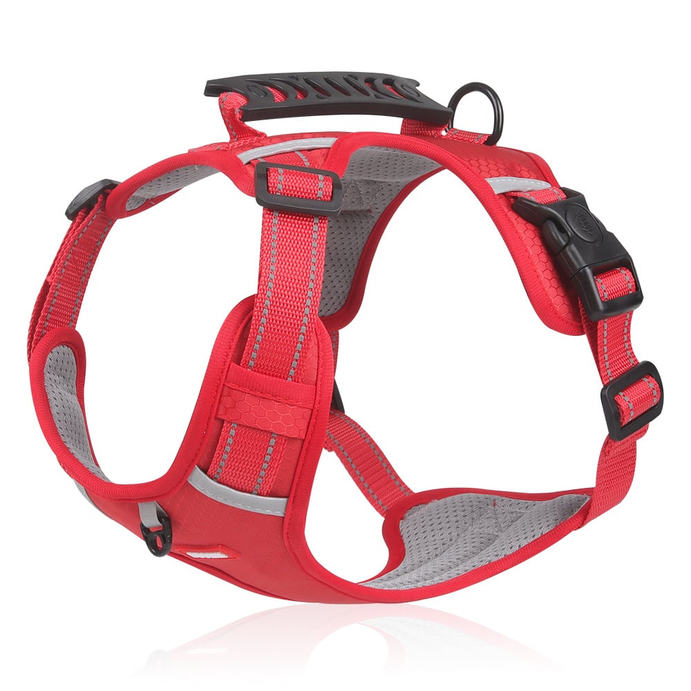 PawSecure™ Reduces Pulling Pressure