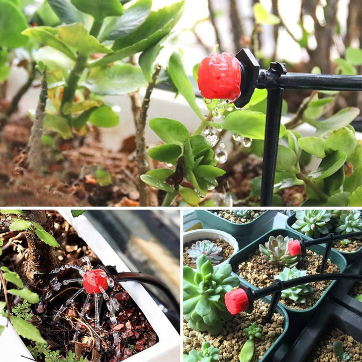 AquaFluss™ Irrigazione precisa delle piante