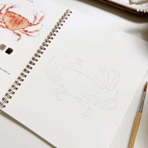 Cahier de travail aquarelle pour débutants | 12 motifs avec guide étape par étape | Papier 120 lb, 6,5"×9", mélange et peinture