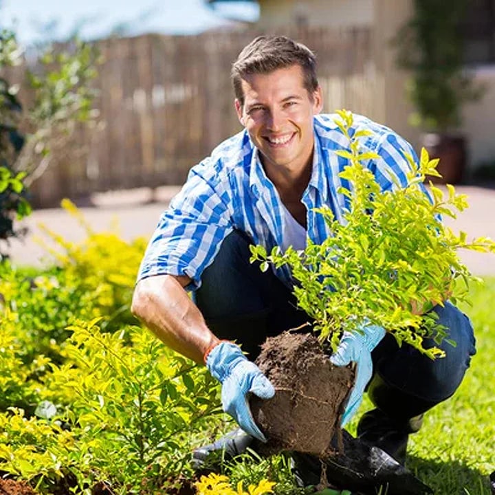 Bodenaktivator 60 g mit Mineralstoffen | Unterstützt Wurzelentwicklung &amp; Nährstoffaufnahme | Für Garten- und Topfpflanzen