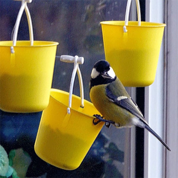Plaisir de jeu pour oiseaux FederRad™