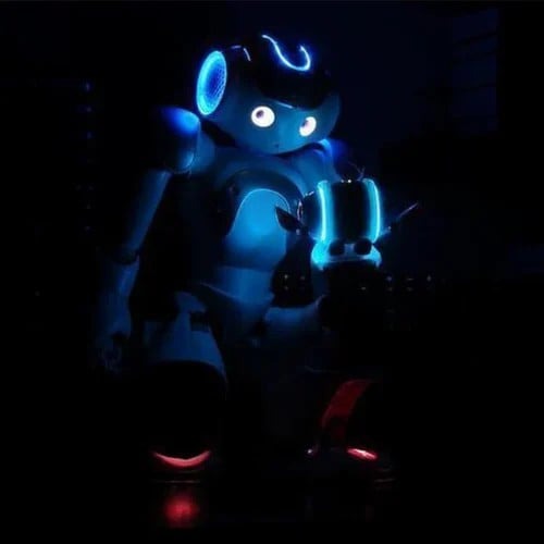 RoboLern™ Smart Kinder-Roboter | Gestensteuerung, Musik &amp; Tanz | Programmierbar | Interaktives Lernspielzeug
