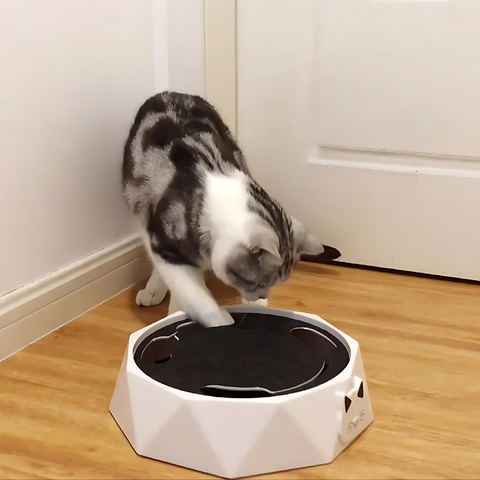 ZoomMouse™ Stimola gli istinti naturali