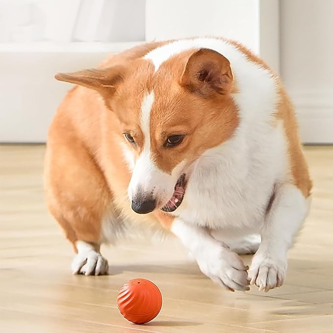 Interaktiver Hundespielball mit Sensoren | Zufallsbewegungen &amp; Blinklicht | Beschäftigung gegen Langeweile | 60 Min Spielzeit