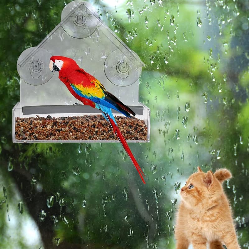 Window bird feeder with 3 suction cups – transparent acrylic for clear view | Open design for more birds | Easy to fill &amp; clean