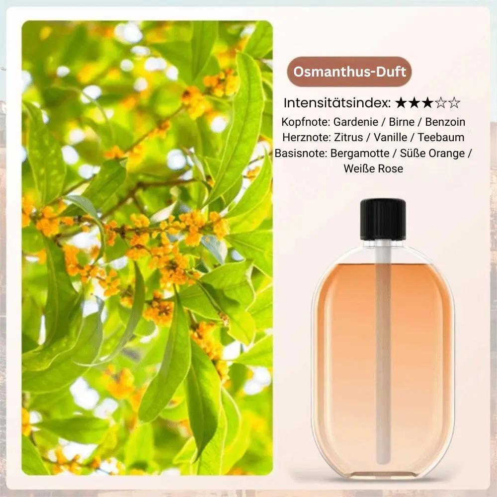 Automatischer Raumduftspender | Kabelloser Aroma-Diffuser mit 5 Sprühstufen, Stimmungslicht und USB-Ladung