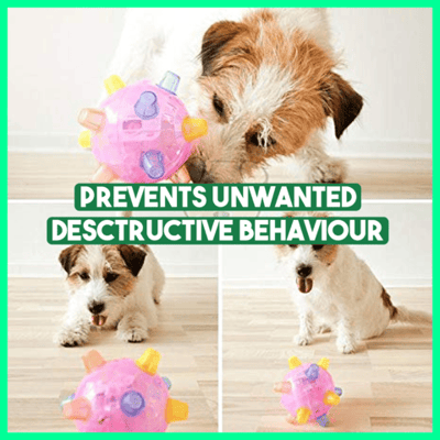 Interactive Dog Ball | Bouncing &amp; Light-Up | With Sound Function | BPA-Free &amp; Durable