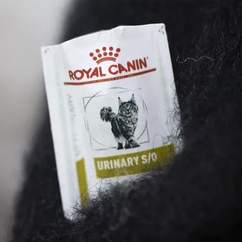 🎁Gyapjúfilc társak – különc kézzel készített kísérők🐱