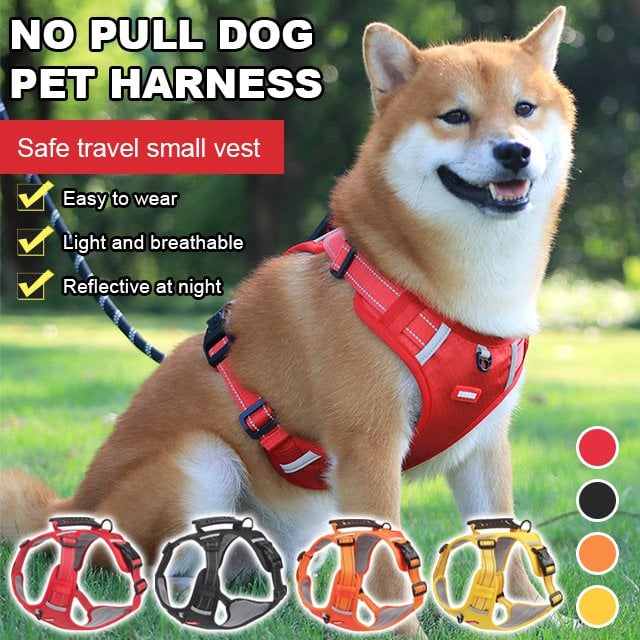 PawSecure™ Reduces Pulling Pressure