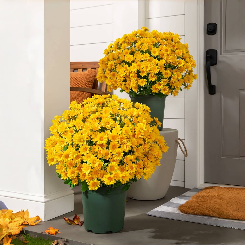 Chrysanthèmes artificiels | Résistants aux UV | Décoration d&