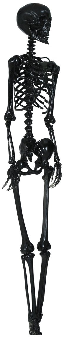 Halloween Skelett Hängedeko 90 cm | Schwarzes Skelett zum Aufhängen für Halloween-Partys und gruselige Raumdekoration