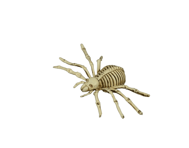 Halloween Skelett Spinne 24 cm | Gruselige Spinnen-Deko aus PVC für Halloween-Partys und Horror-Dekoration