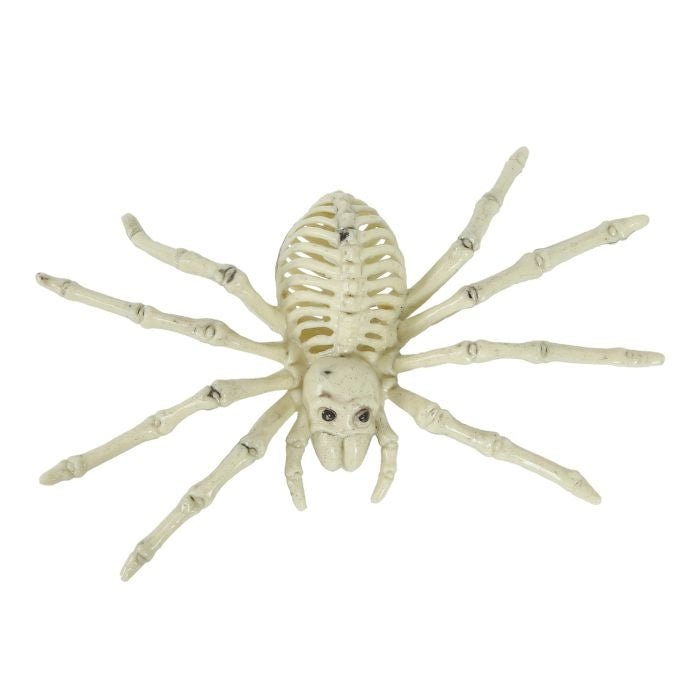 Halloween Skelett Spinne 24 cm | Gruselige Spinnen-Deko aus PVC für Halloween-Partys und Horror-Dekoration