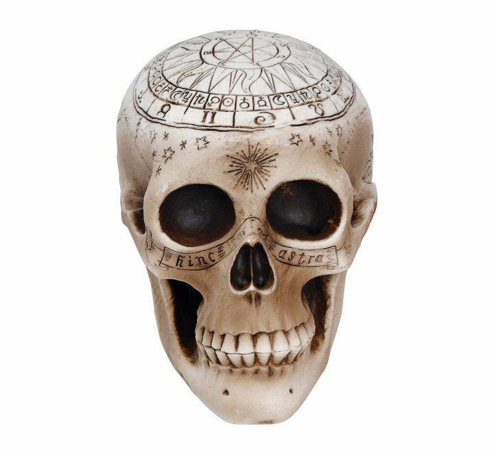 Halloween Totenkopf Deko 20 cm | Gruseliger PVC-Schädel als Tischdekoration für Halloween- und Mottopartys