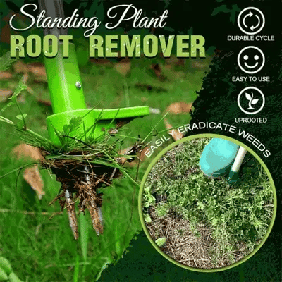 RootClear™ Éliminateur permanent de racines | 50% de réduction temporaire