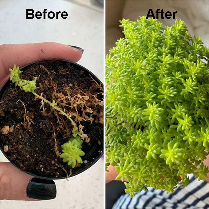 Natural plant growth booster | Enzymes &amp; plant extracts for roots &amp; foliage | For houseplants, vegetables &amp; flowers
