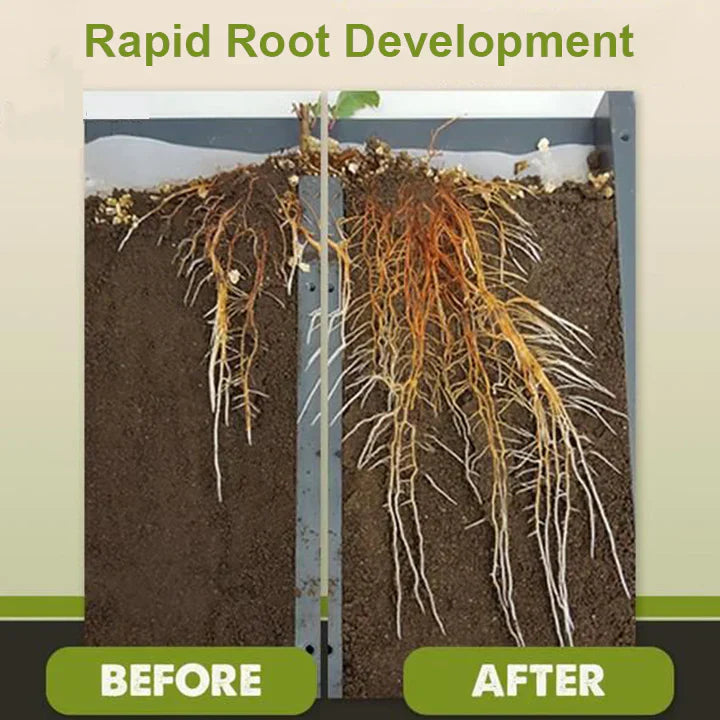 Natural plant growth booster | Enzymes &amp; plant extracts for roots &amp; foliage | For houseplants, vegetables &amp; flowers