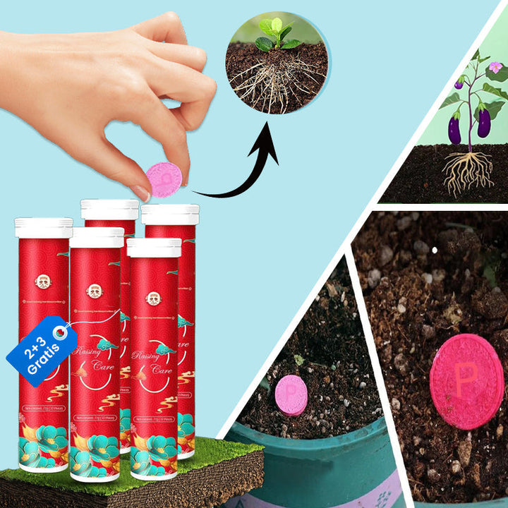 Plant fertilizer tablets 22 pieces | 100% natural nutrient formula | Long-lasting effect for strong growth | For garden &amp; houseplants