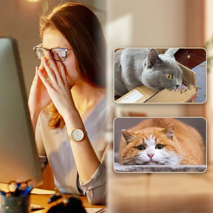 Limited Time 50% Off Interactive Feather Cat Bouncing Ball